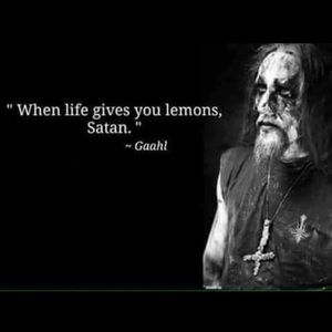 Meet your Posher, Lawrence